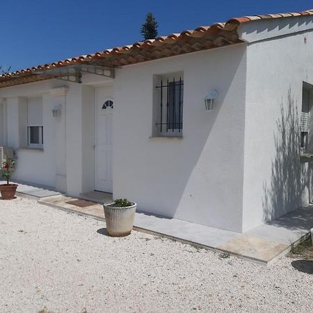 Villa Le Coin Des Oliviers Puget-sur Argens Exterior foto