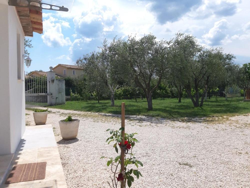 Villa Le Coin Des Oliviers Puget-sur Argens Exterior foto
