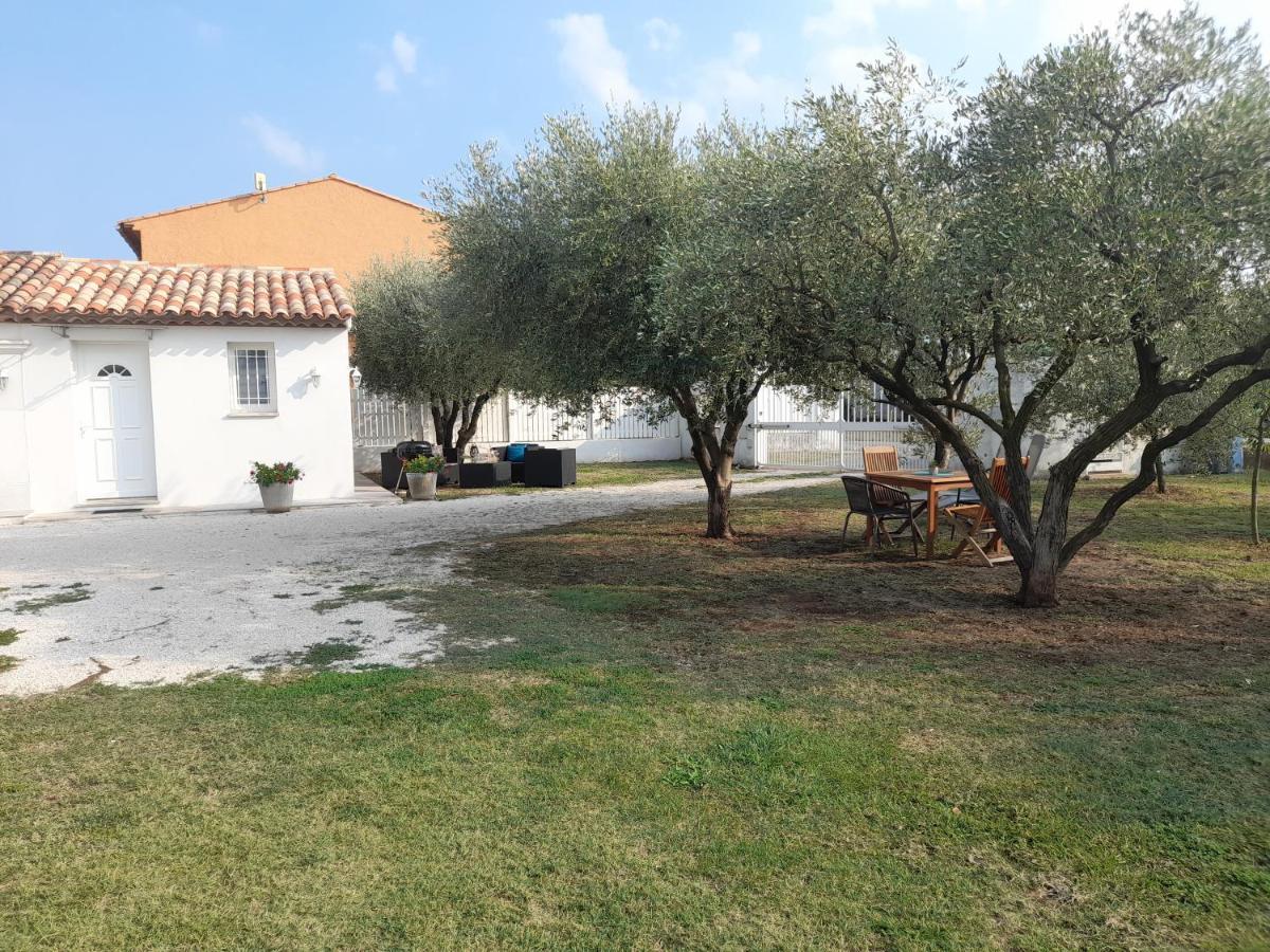 Villa Le Coin Des Oliviers Puget-sur Argens Exterior foto